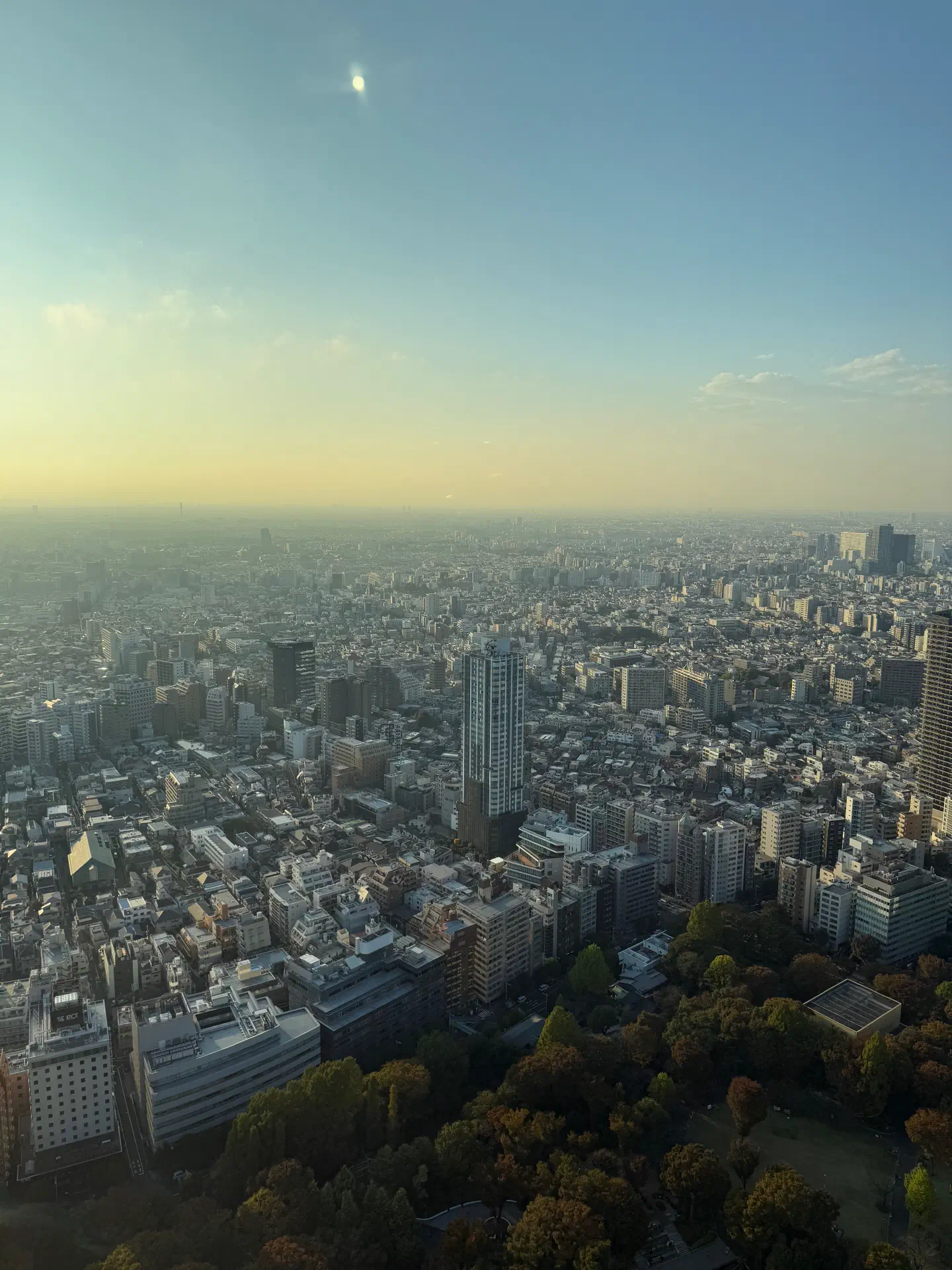 Downtown Tokyo